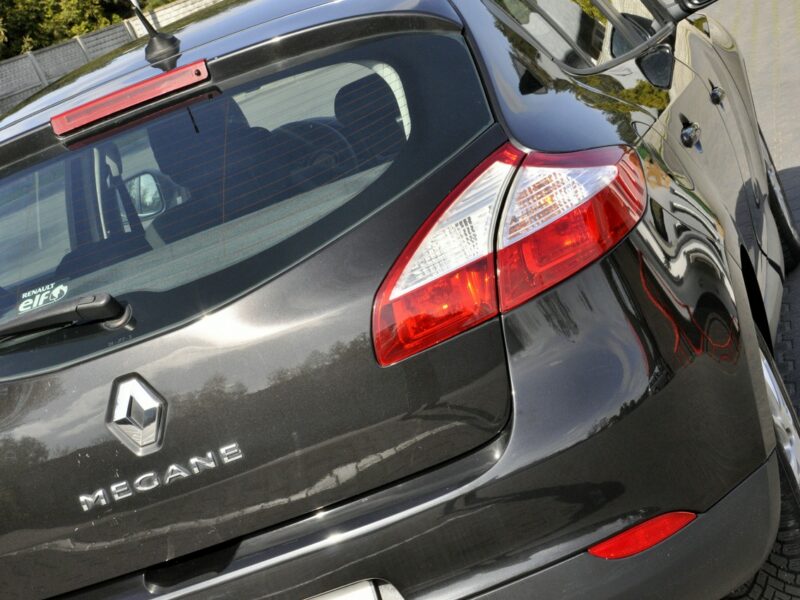 Renault Megane 1,6i 110KM Business/Serwis/Tempomat/Klimatyzacja/Alufelgi/Navi III (2008-2016)