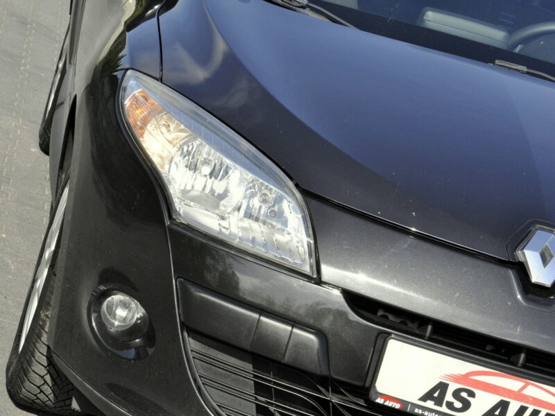 Renault Megane 1,6i 110KM Business/Serwis/Tempomat/Klimatyzacja/Alufelgi/Navi III (2008-2016)