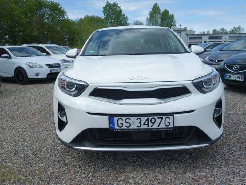 Kia Stonic Kia Stonic 1.0 T-GDI MHEV (tzw. miękka hybryda)