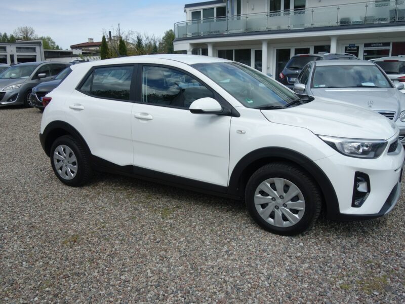 Kia Stonic Kia Stonic 1.0 T-GDI MHEV (tzw. miękka hybryda)