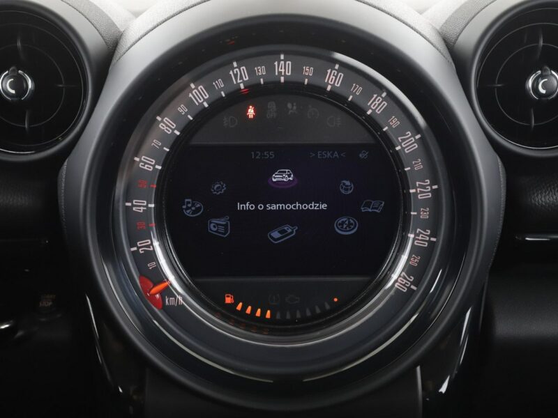 Mini Countryman Cooper D Chili Klimatronik Tempomat Nawigacja Sportsitze Bluetooth PDC