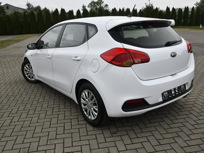 Toyota C-HR Ledy / Kamera Cofania / Krajowy / Raport Dekra / FV 23%