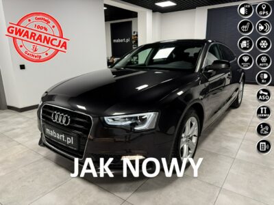 Audi A5 1.8 TFSi 170PS*LIFT*S-LINE*Navi MMI*Klimatronic*KeyLessG*BiXenon*SPORT 8T (2007-2016)