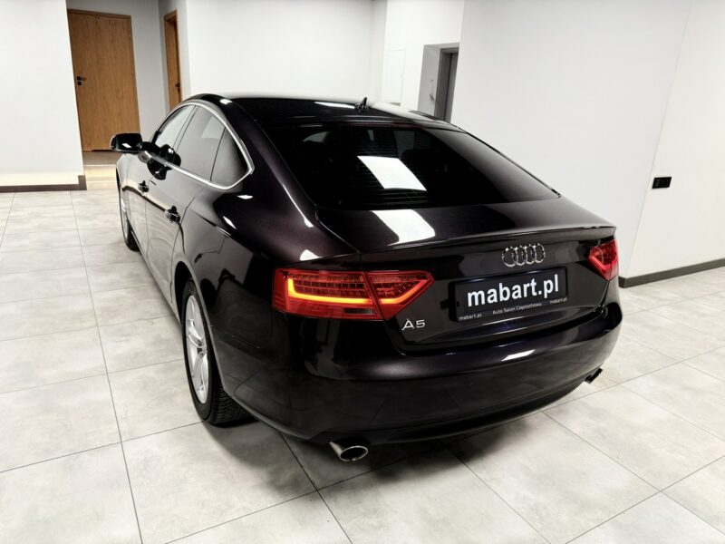Audi A5 1.8 TFSi 170PS*LIFT*S-LINE*Navi MMI*Klimatronic*KeyLessG*BiXenon*SPORT 8T (2007-2016)