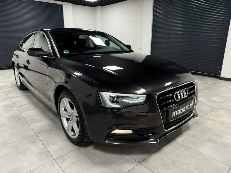 Audi A5 1.8 TFSi 170PS*LIFT*S-LINE*Navi MMI*Klimatronic*KeyLessG*BiXenon*SPORT 8T (2007-2016)