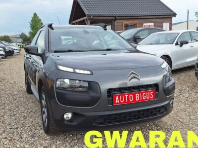 Citroen C4 Cactus ledy navi climatronic I (2014-)
