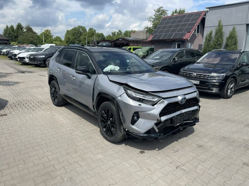 Toyota RAV-4 Hybrid AWD Navi Kamera Selection V (2018)