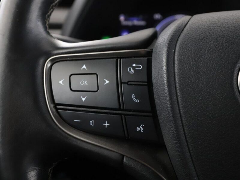 Lexus UX UX 250h Business Edition Tempomat Nawigacja Asystenci Alcantara Kamera
