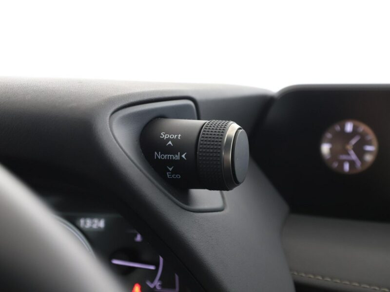 Lexus UX UX 250h Business Edition Tempomat Nawigacja Asystenci Alcantara Kamera