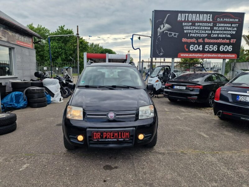 Fiat Panda 1.2 Benzyna 60 KM, 4x4, Klima Automatyczna, Alufelgi, Komputer, Hak II (2003-2012)