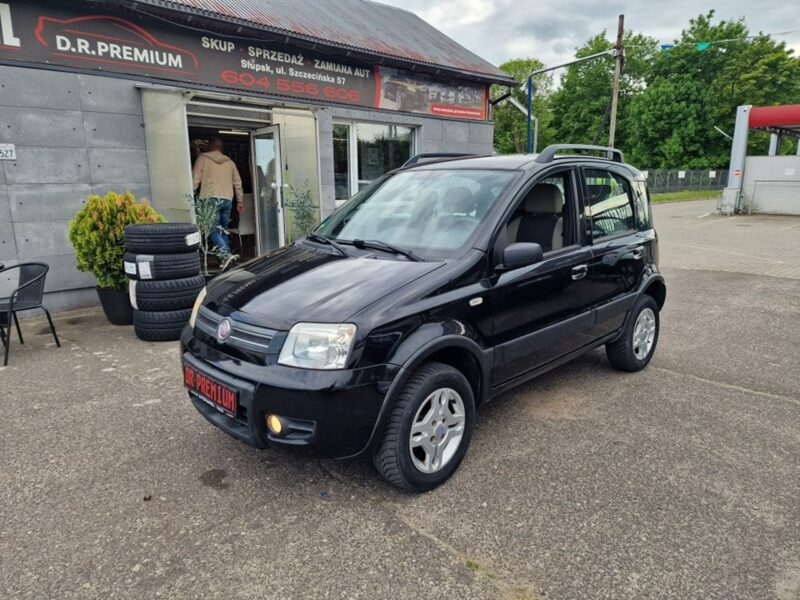 Fiat Panda 1.2 Benzyna 60 KM, 4x4, Klima Automatyczna, Alufelgi, Komputer, Hak II (2003-2012)