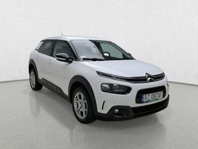 Citroen C4 Cactus I (2014-)