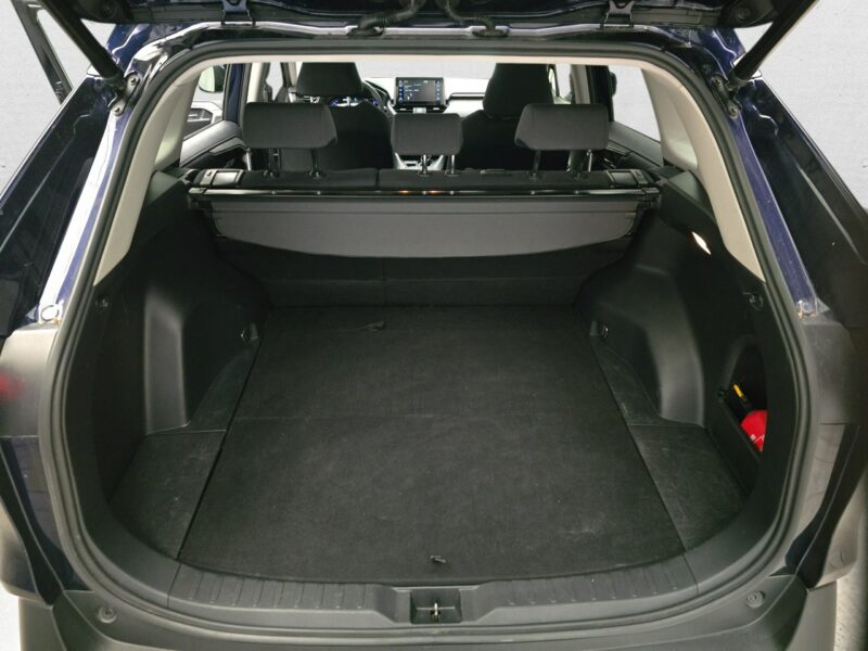 Toyota RAV-4 V (2018)
