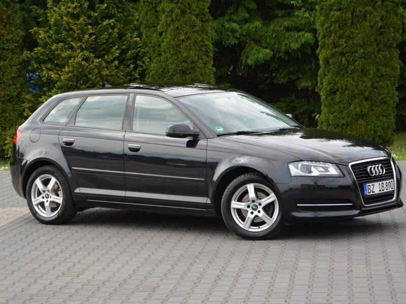 Audi A3 Ledy Bi-Xenony Panorama Klimatronic Parktronic Oryginał z Niemiec 8P (2003-2012)