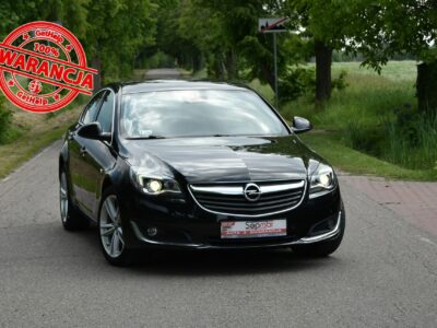 Opel Insignia 2.0CDTi 163KM Automat 2015r. BiX Led 18" Skóra NAVi Kamera A (2008-2017)