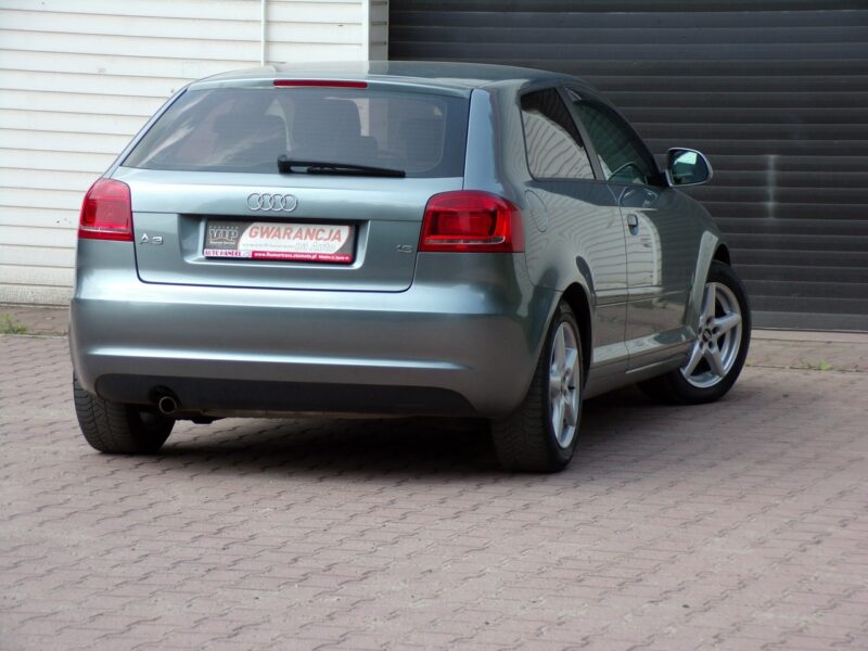 Audi A3 Lift /Gwarancja /1,6 MPI /2009r 8P (2003-2012)