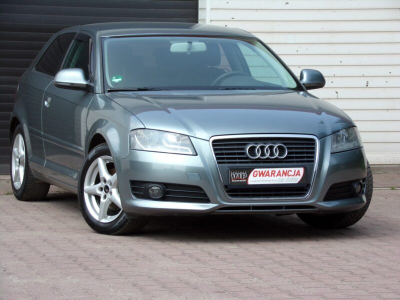 Audi A3 Lift /Gwarancja /1,6 MPI /2009r 8P (2003-2012)