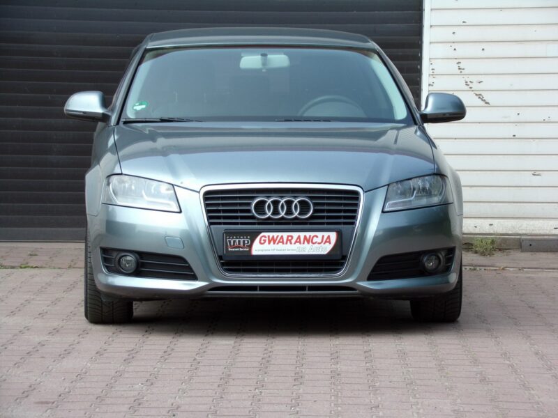 Audi A3 Lift /Gwarancja /1,6 MPI /2009r 8P (2003-2012)
