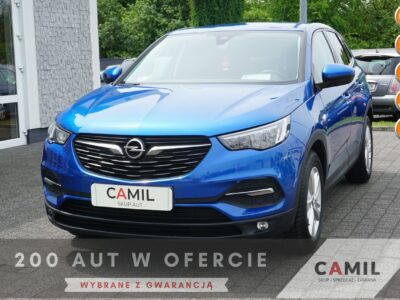 Opel Grandland X Turbo Benzyna z LPG, Polski Salon, Bardzo Zadbany, Roczna Gwarancja,