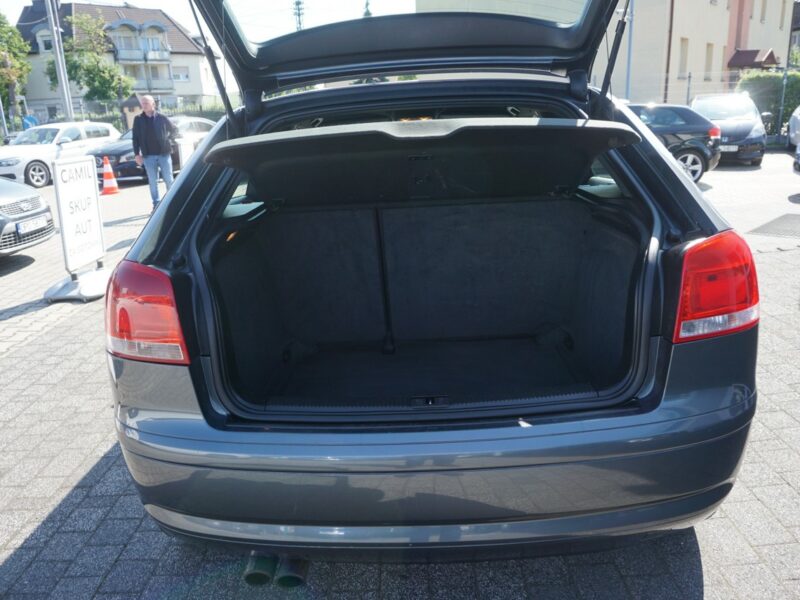 Audi A3 S-Line, zarejestrowane i ubezpieczone w Polsce, 8P (2003-2012)