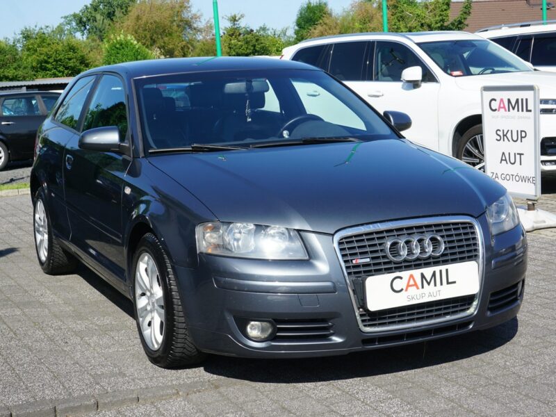 Audi A3 S-Line, zarejestrowane i ubezpieczone w Polsce, 8P (2003-2012)