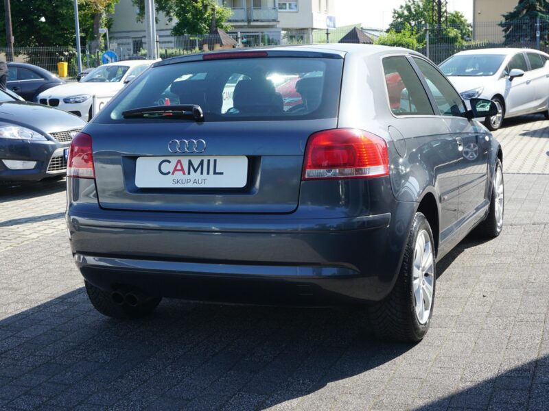 Audi A3 S-Line, zarejestrowane i ubezpieczone w Polsce, 8P (2003-2012)
