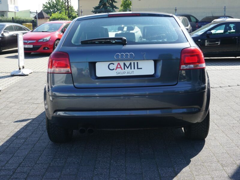 Audi A3 S-Line, zarejestrowane i ubezpieczone w Polsce, 8P (2003-2012)