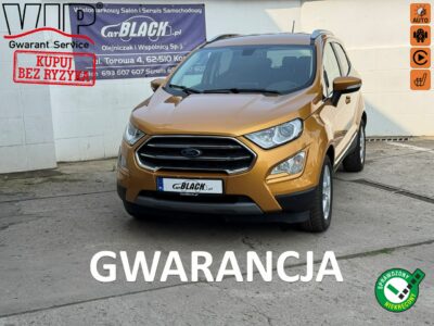 Ford EcoSport Pisemna Gwarancja 12 miesiecy II (2013-)