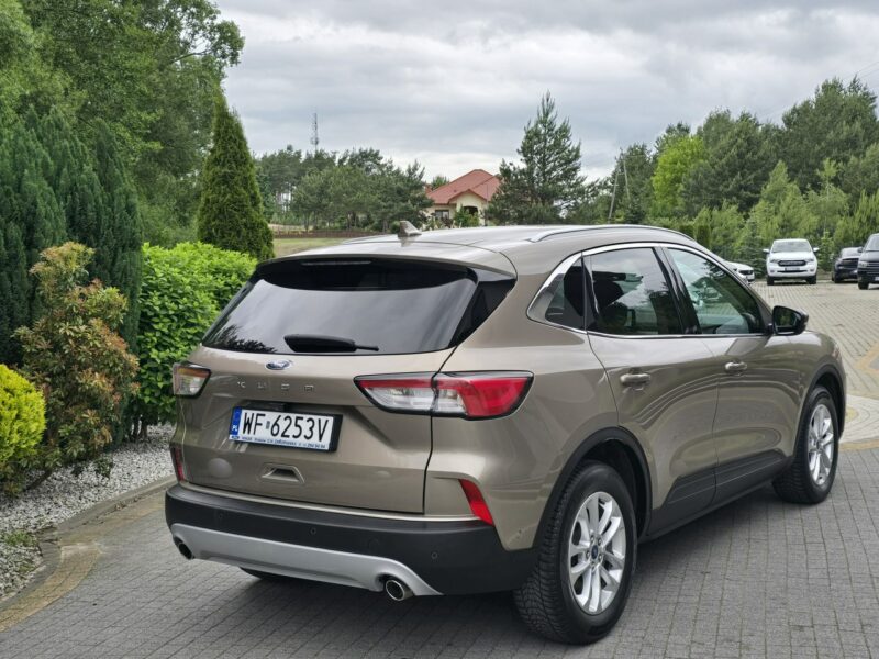 Ford Kuga 1.5 EcoBlue 120KM Titanium / Salon PL I-właściciel II (2012-)