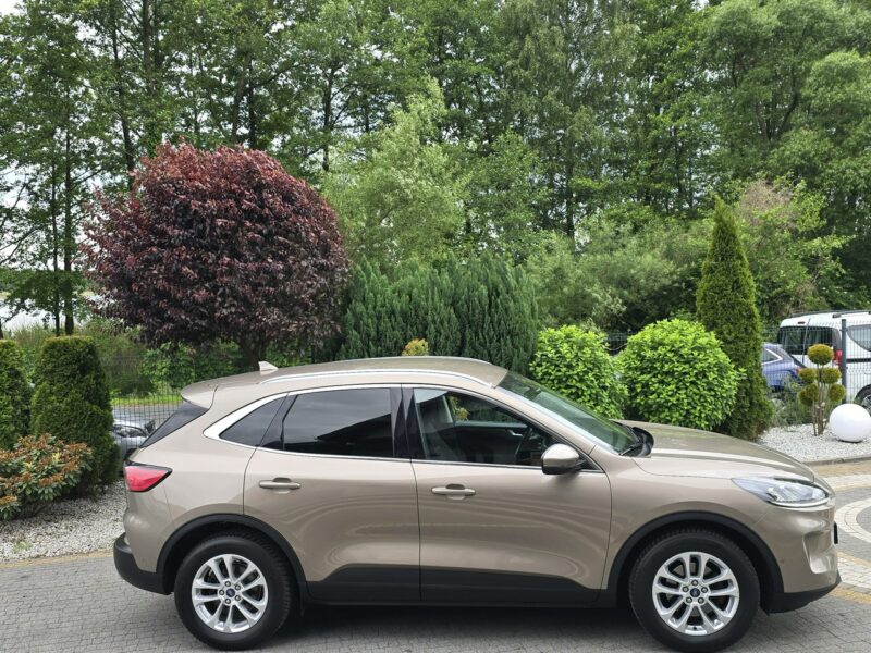 Ford Kuga 1.5 EcoBlue 120KM Titanium / Salon PL I-właściciel II (2012-)