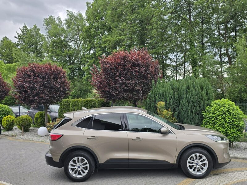 Ford Kuga 1.5 EcoBlue 120KM Titanium / Salon PL I-właściciel II (2012-)