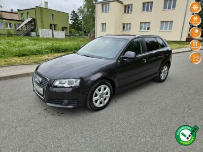 Audi A3 Opłacony Zdrowy Zadbany Serwisowany LIFT 1 Wł Po Serwisie 8P (2003-2012)