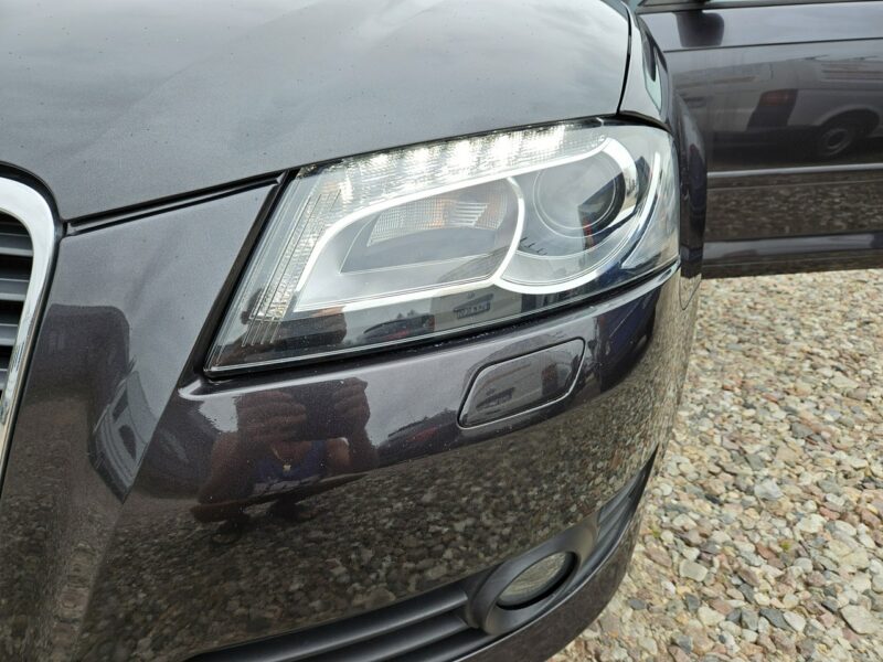 Audi A3 Opłacony Zdrowy Zadbany Serwisowany LIFT 1 Wł Po Serwisie 8P (2003-2012)