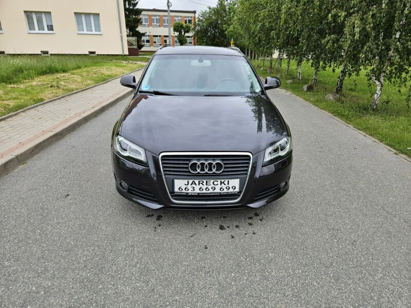 Audi A3 Opłacony Zdrowy Zadbany Serwisowany LIFT 1 Wł Po Serwisie 8P (2003-2012)