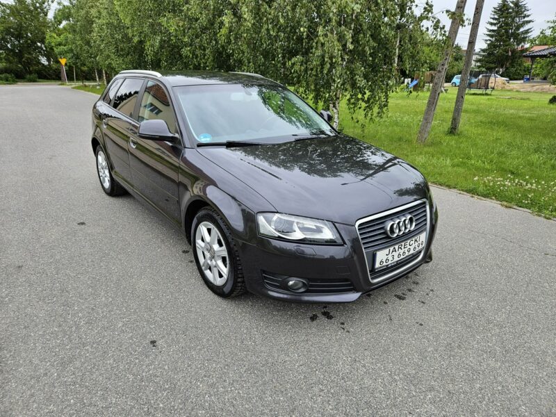 Audi A3 Opłacony Zdrowy Zadbany Serwisowany LIFT 1 Wł Po Serwisie 8P (2003-2012)