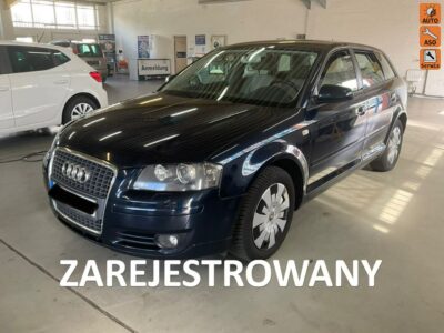 Audi A3 1,8 T 160KM ,klimatronik, isofix, 8 airbag, zarejestrowany 8P (2003-2012)