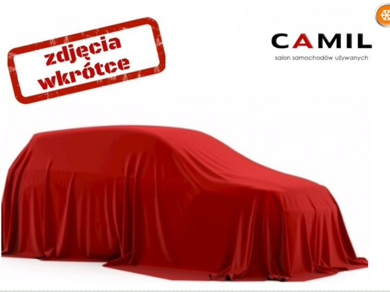 Seat Ibiza auto zarejestrowane, ubezpieczone i użytkowane w Polsce od 2019 roku, IV (2008-)