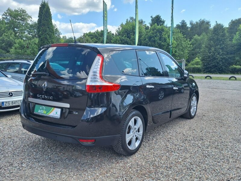 Renault Scenic Nowy rozrząd, navi, PDC III (2009-2016)