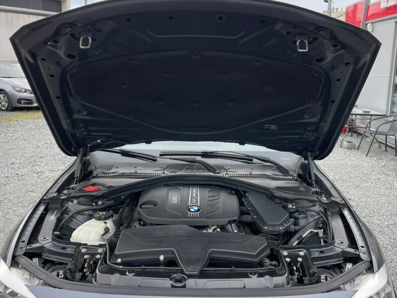 BMW 318 2.0 Diesel Moc 150KM F30/F31 (2012-)
