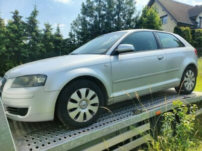 Audi A3 1,9tdi 8P (2003-2012)