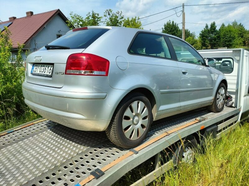 Audi A3 1,9tdi 8P (2003-2012)