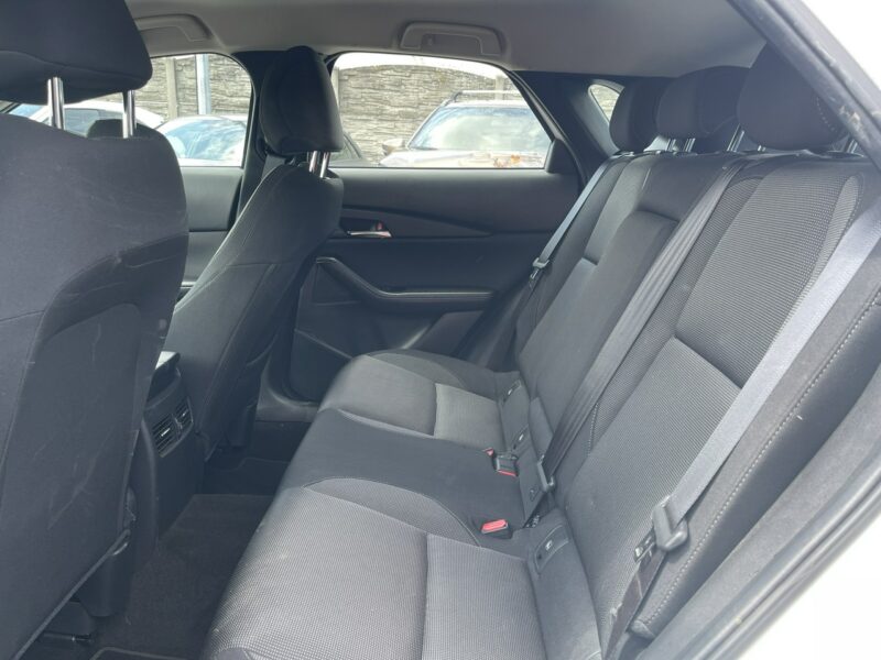 Mazda CX-30 eSkyactivG AWD mHEV Podgrzewanie Kamera 150KM