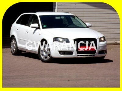 Audi A3 Navi /Bi Xenon /Klimatronic /2,0 /140KM /8V / 8P (2003-2012)