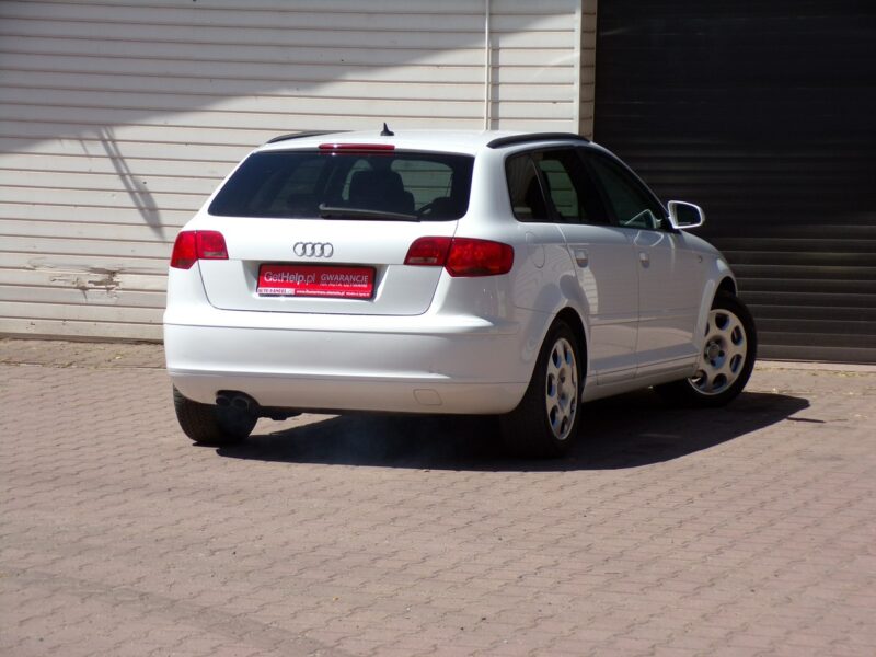Audi A3 Navi /Bi Xenon /Klimatronic /2,0 /140KM /8V / 8P (2003-2012)