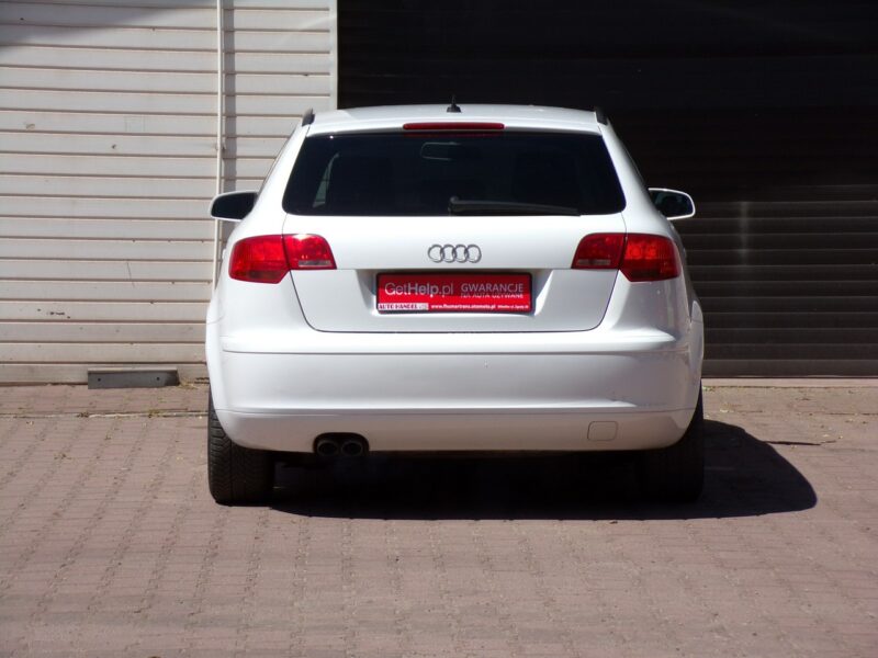 Audi A3 Navi /Bi Xenon /Klimatronic /2,0 /140KM /8V / 8P (2003-2012)