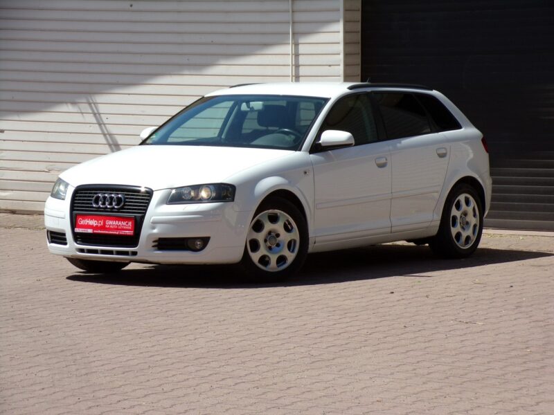 Audi A3 Navi /Bi Xenon /Klimatronic /2,0 /140KM /8V / 8P (2003-2012)