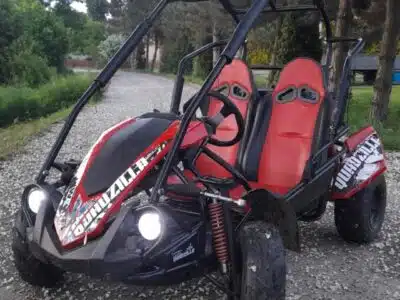 Quadzilla Buggy 200cc