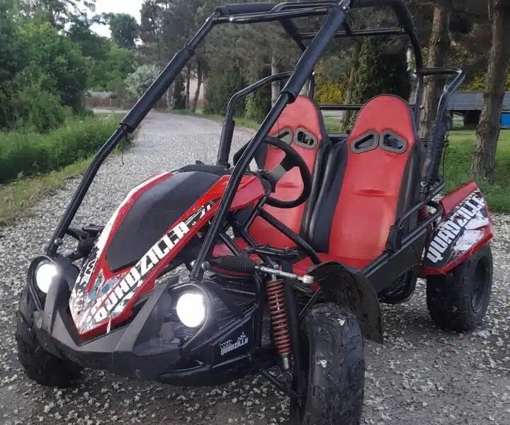 Quadzilla Buggy 200cc