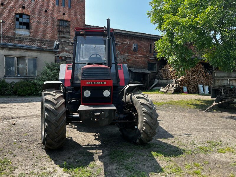 Ursus 1634