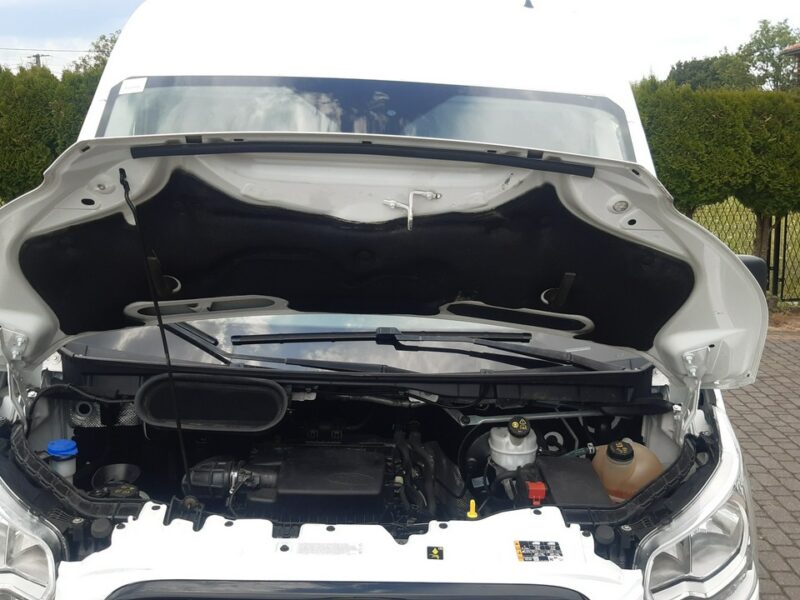 Ford Transit Ford Transit 2.0 TDCi 350 L3 H2 Trend